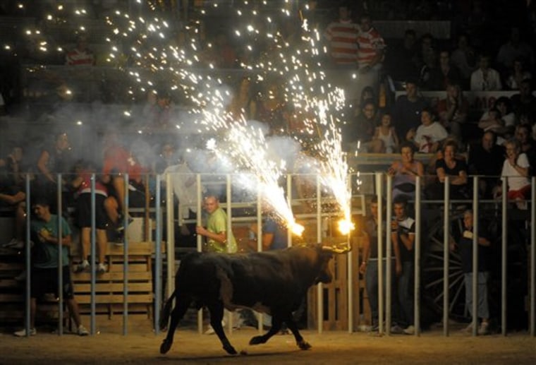 In this file photo from Aug. 19, 2010, a bull with flaming horns runs during Toro Embolao in Amposta, Catalonia, Spain. Lawmakers who outlawed bullfighting this summer in Spain's Catalonia region will vote Wednesday on a bill that effectively endorses other traditions such as setting bulls' horns on fire in village festivals or letting them chase human daredevils by seaside marinas and plunge into the water.(AP Photo/Manu Fernandez, File)